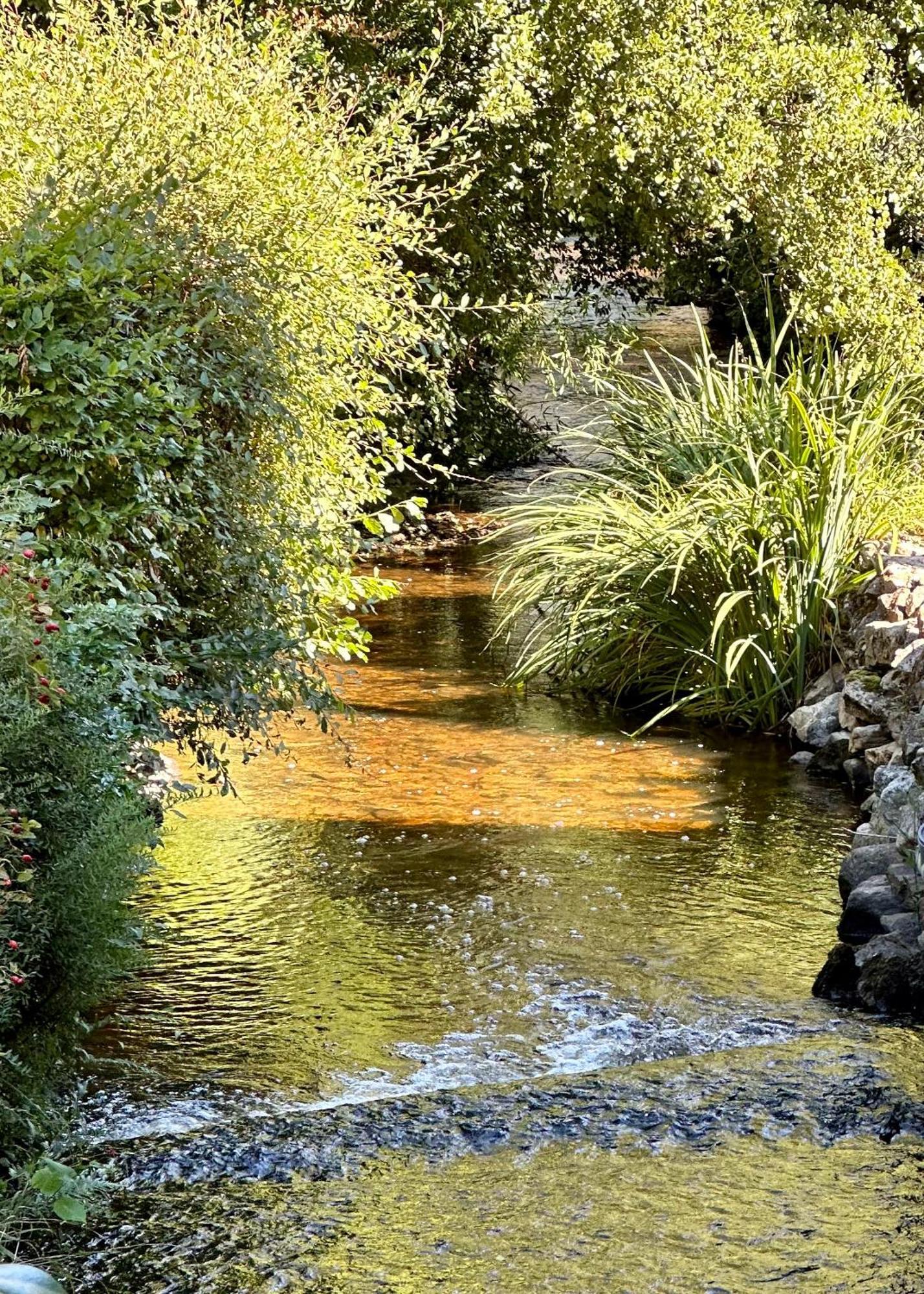 Gite Du Moulin Toucan Berneuil  Kültér fotó